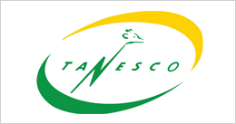 Tanzania Electric Supply Company Limited (TANESCO)